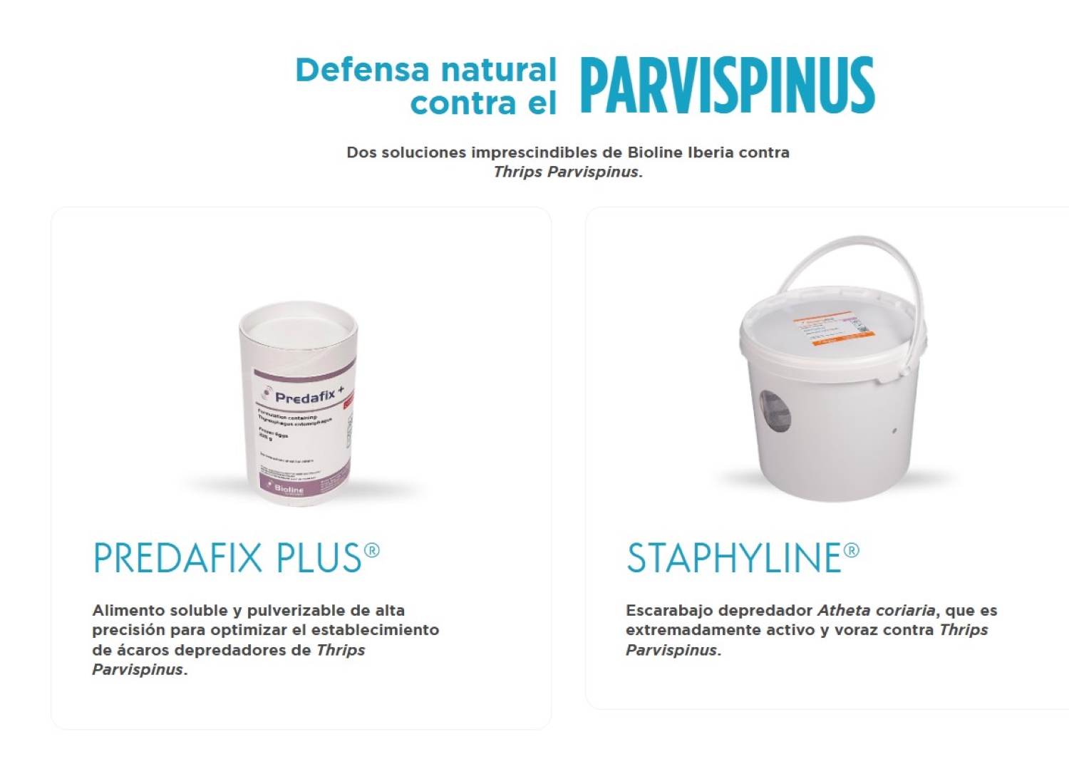 Bioline Iberia ha lanzado la web www.defensacontraparvispinus.es