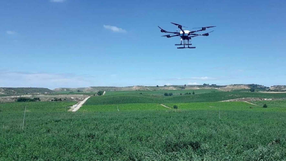 Las personas beneficiarias de las ayudas son pymes titulares de explotaciones agrcolas y ganaderas...