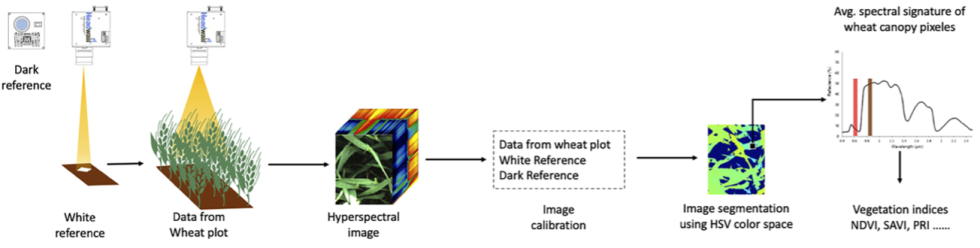 Figura 1. Flujo de trabajo para el procesamiento de im�genes hiperespectrales