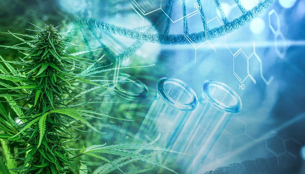 Desde el colectivo de la farmacia comunitaria se reivindica la capacidad de participar activamente tanto en la formulacin como en el seguimiento...