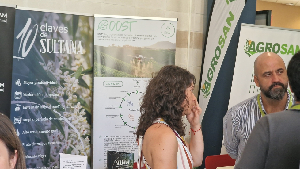 Representaci�n del proyecto BOOST en Mundolivar