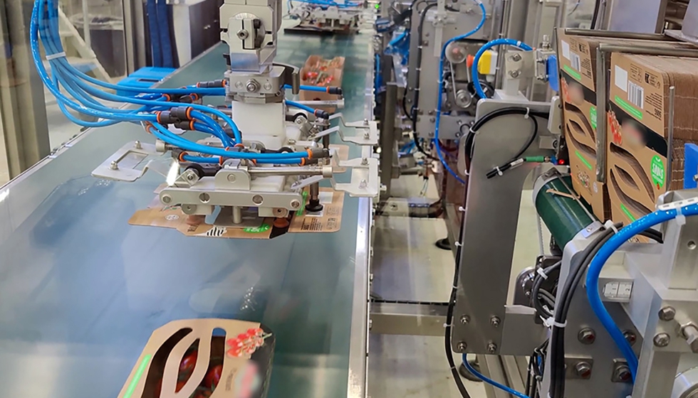 Foto de Soluciones a medida para el sector de frutas y verduras