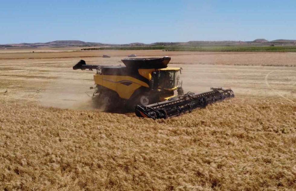 Las CR11 llegaron esta campa�a a Espa�a