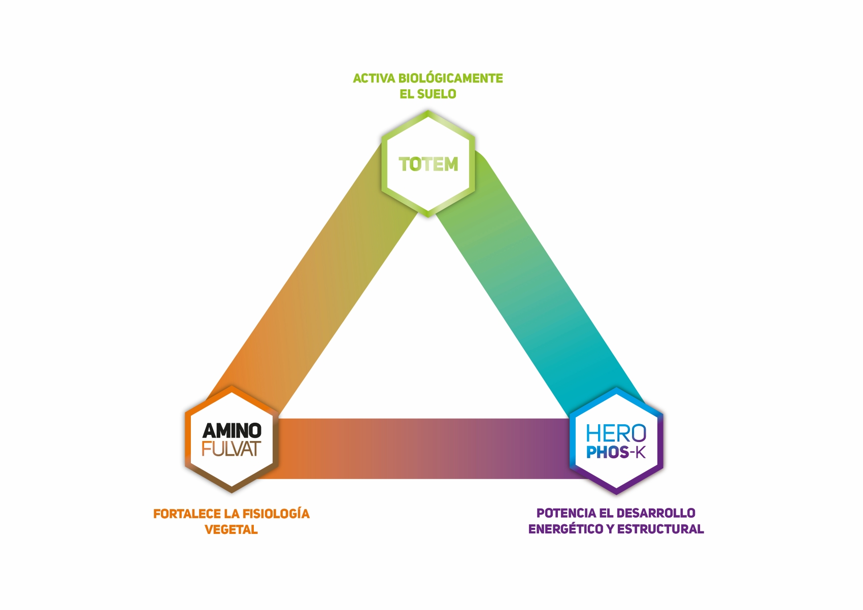 Ventajas que proporciona el uso de TOTEM