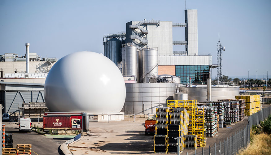 Foto de Ambar reduce su consumo de gas con biogs generado en su propio proceso industrial