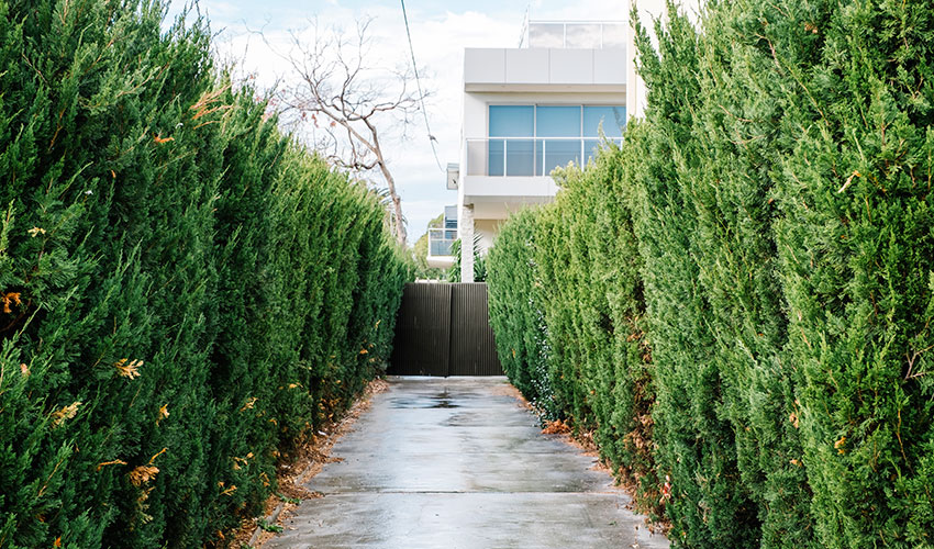 Combinar plantas de distintas alturas y colores a�ade dinamismo y profundidad visual al dise�o del borde