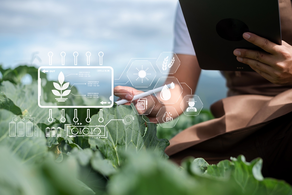La IA puede aplicarse en numerosas tareas en campo, desde la fertilizacin o la sanidad vegetal...