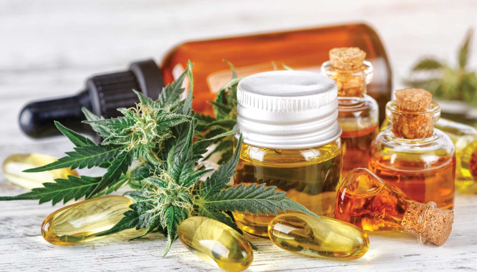 La falta de regulación uniforme a nivel global representa uno de los principales desafíos para el avance del cannabis medicinal...