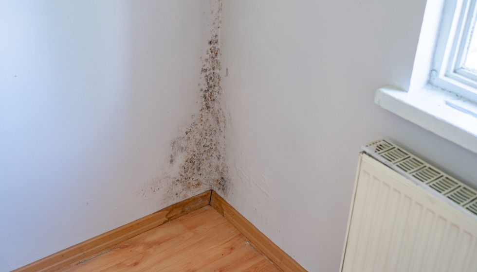 Las humedades estructurales no solo afectan directamente a los cimientos y ponen en riesgo la estructura del edificio...