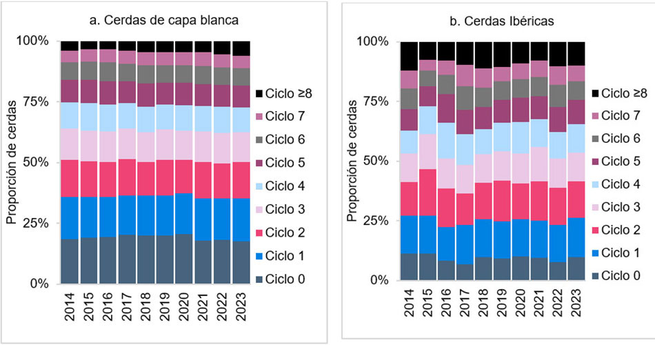 Figura 3. Evolucin de la distribucin del nmero de ciclos de las cerdas de capa blanca (a) e ibricas (b) en Espaa desde 2014 a 2023...