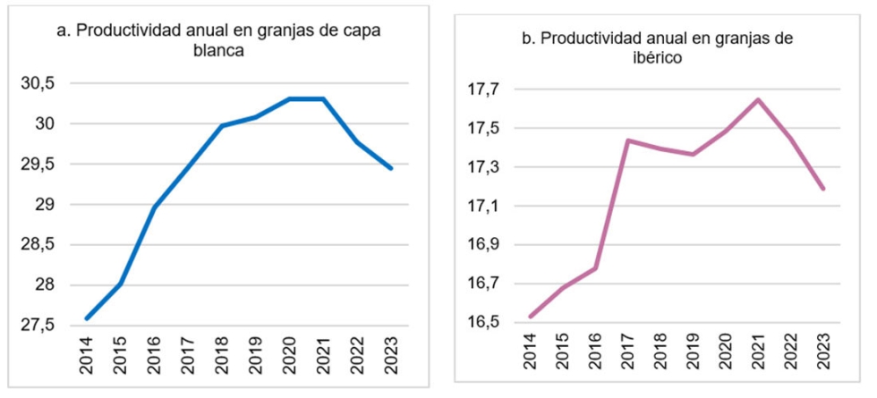 Figura 5. Evolucin de la productividad anual (LDCPA) de las granjas de cerdas de capa blanca (a) e ibricas (b) desde 2014 a 2023...