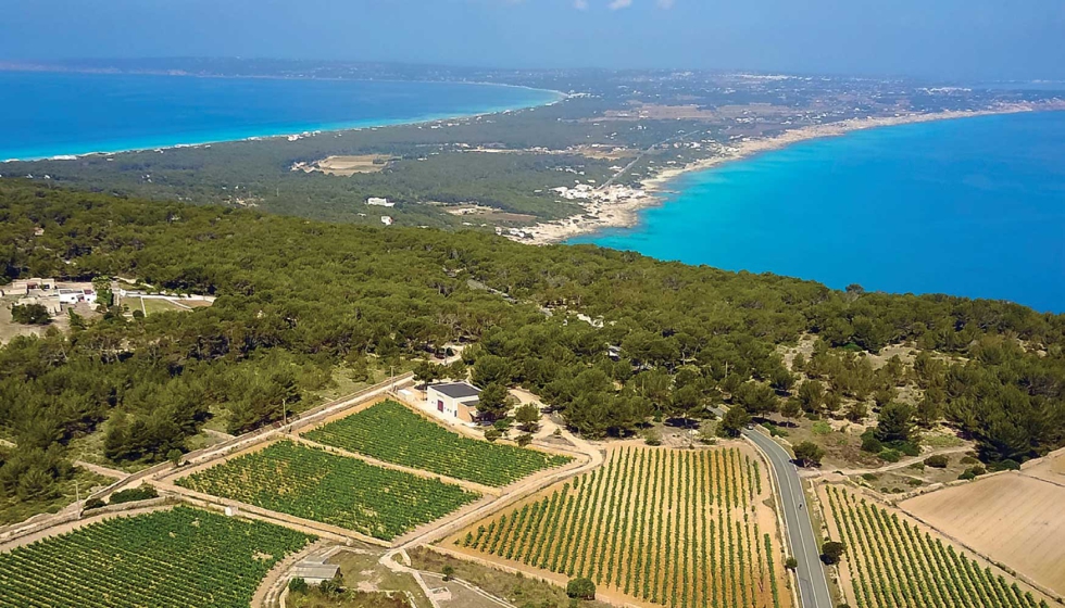 El proyecto de Terramoll abre una nueva etapa para los vinos de Formentera