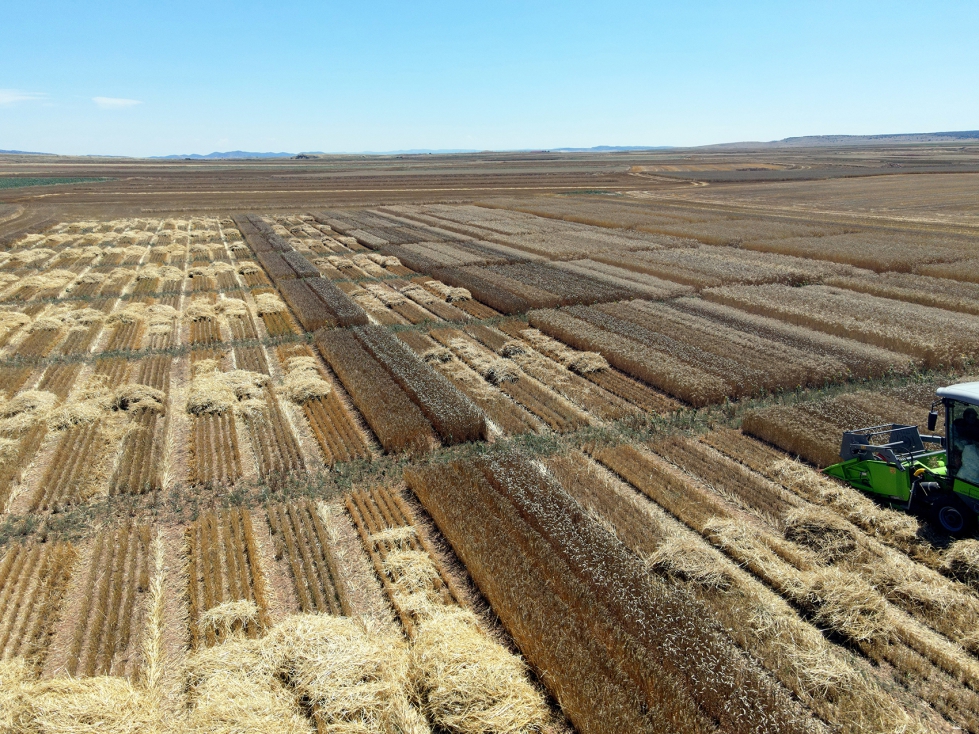 Ensayo de la red GENVCE en Aragn desarrollado por CTA-Gobierno de Aragn