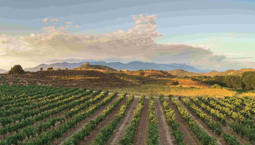 Ram�n Bilbao consigui� el sello IWCA (International Wineries for Climate Action) en la categor�a Silver...