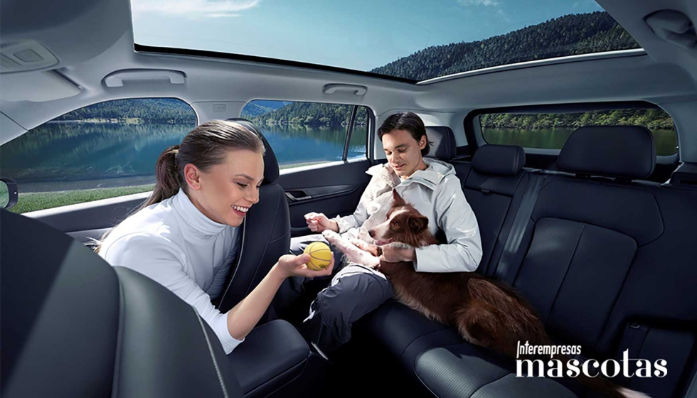 Foto de Jaecoo 5 y sus materiales innovadores pet friendly: proteccin sanitaria y control de olores para mascotas