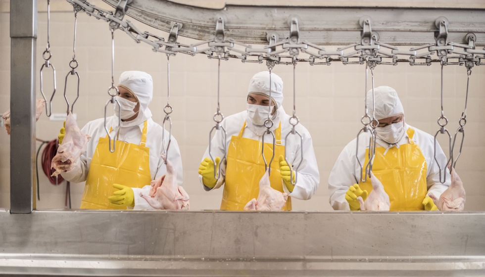 Foto de Buenas perspectivas a corto plazo para los mercados lcteos y crnicos de la UE