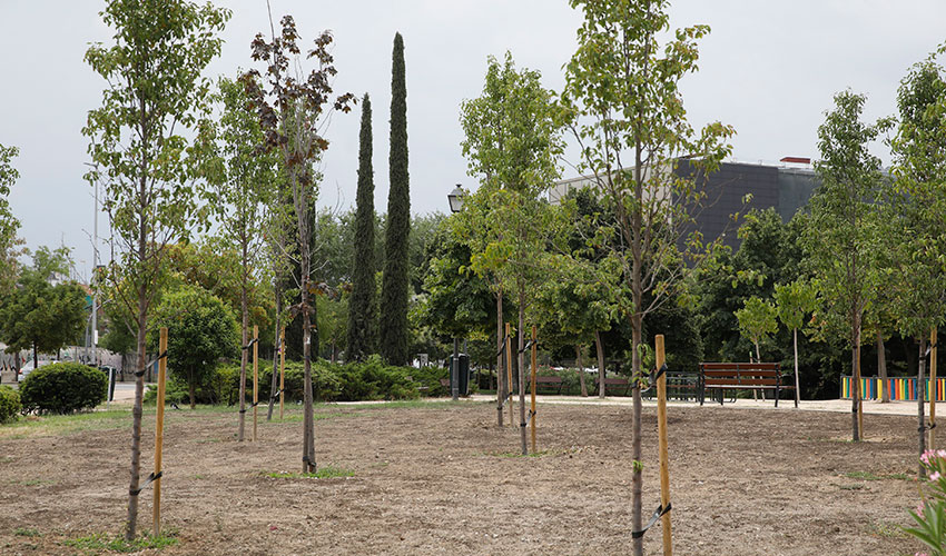 Zona arbolada en parque La Vi�a en Puente de Vallecas