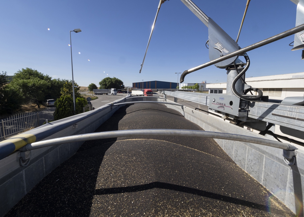 Estas subvenciones est�n incluidas dentro del Plan Estrat�gico del Cooperativismo Agroalimentario de Castilla y Le�n 2024-2027...