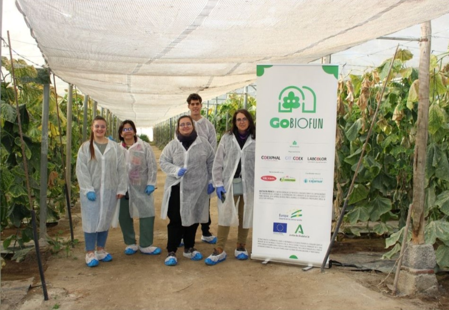 El objetivo del grupo operativo Biofun ha sido promover el control biolgico por conservacin en el interior de los invernaderos mediante el fomento...