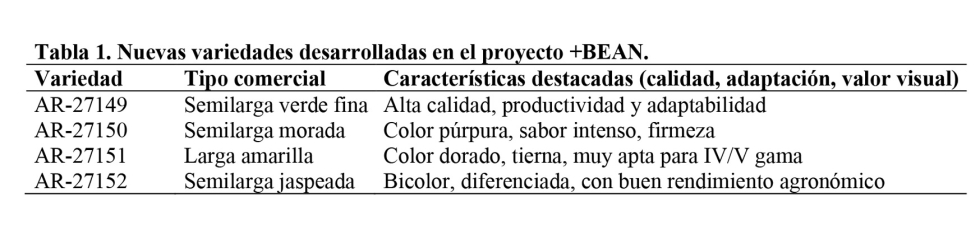 Tabla 1. Nuevas variedades desarrolladas en el proyecto +BEAN