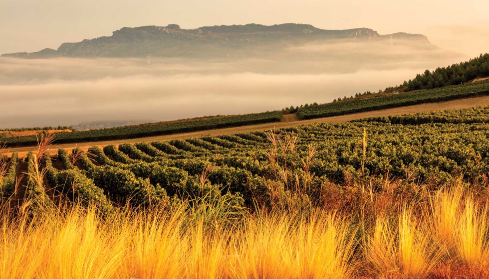 Bodegas Beronia se inscribe en la Rioja Alta...