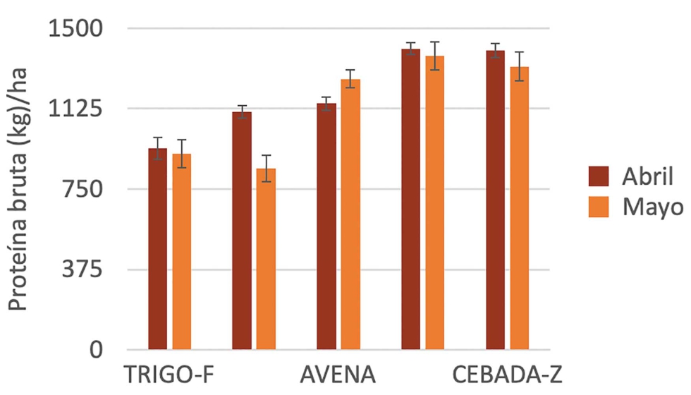 Figura 8. Produccin de protena con forraje de invierno segn el tipo de cereal y la fecha de corte. Cebada-Z es cebada hbrida...