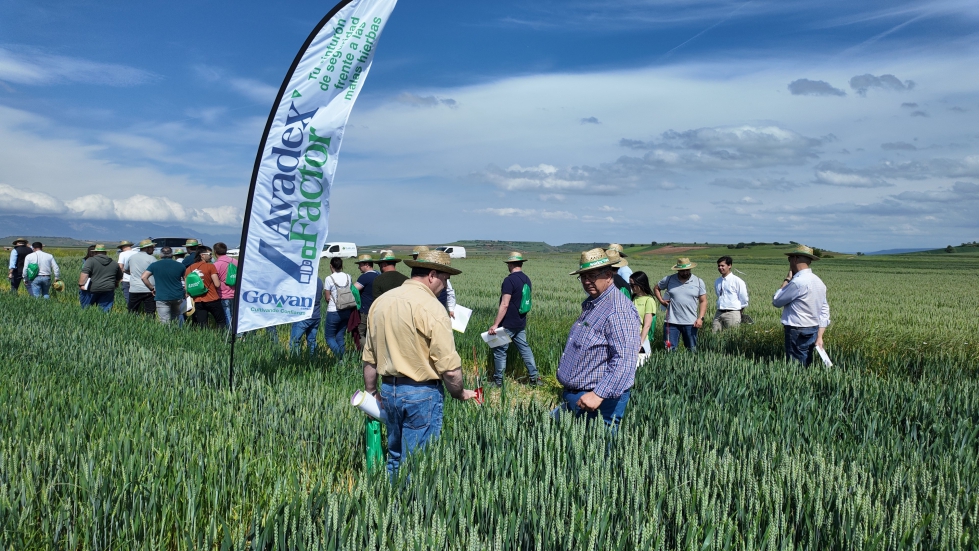 Ensayos en campo para medir la eficacia de AVADEX� Factor en condiciones reales