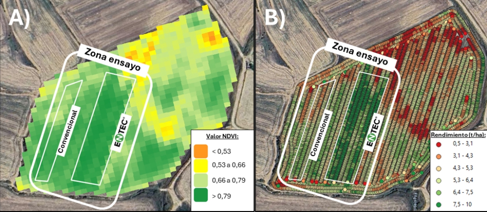 Figura 4. Detalle del seguimiento de un ensayo 'On-Farm' en 2025. (A) Imagen satlite Sentinel-2 del 16/05/2025 con ndice vegetacin NDVI...