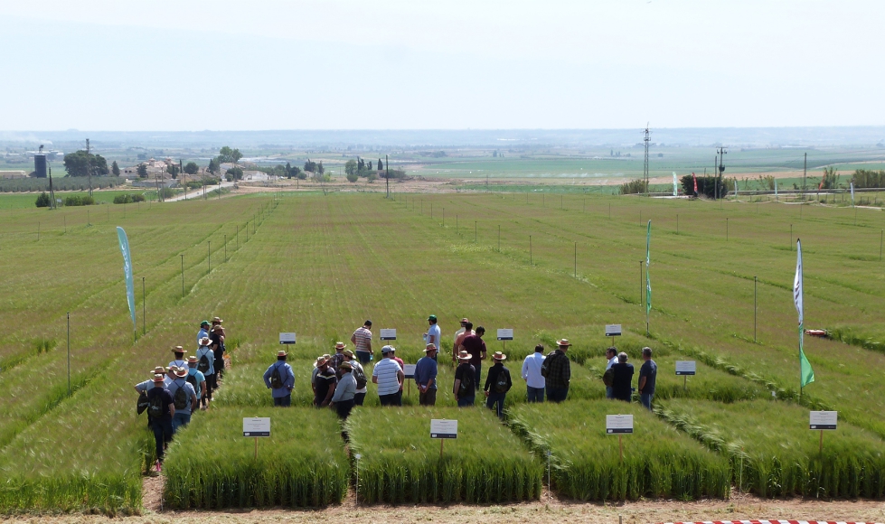Agricultores en los ensayos 'On-Farm' de EuroChem