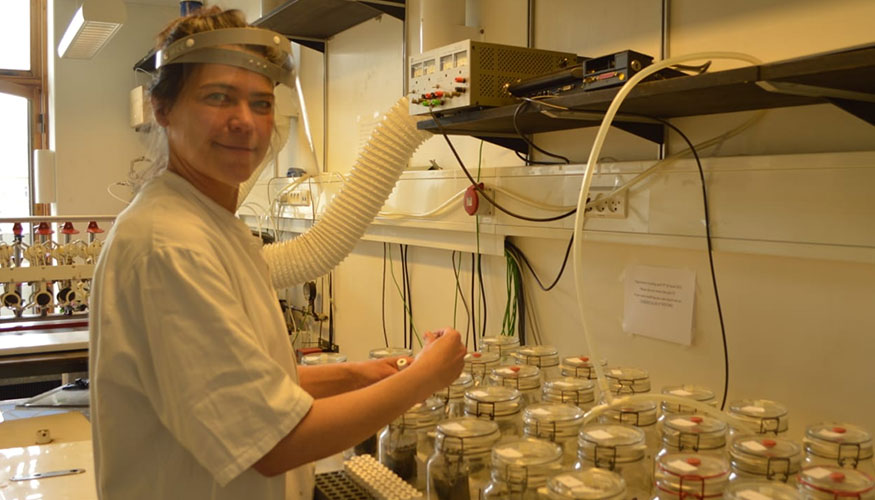 Investigacin desarrollada para reducir la emisin de gases de efecto invernadero de los purines