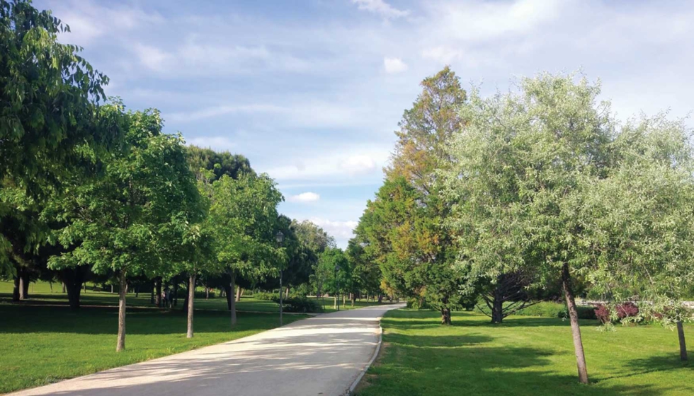 Madrid, gracias a grandes zonas forestales como la Casa de Campo y el Monte de El Pardo, cuenta con un elevado ratio de rbol/ciudadano...