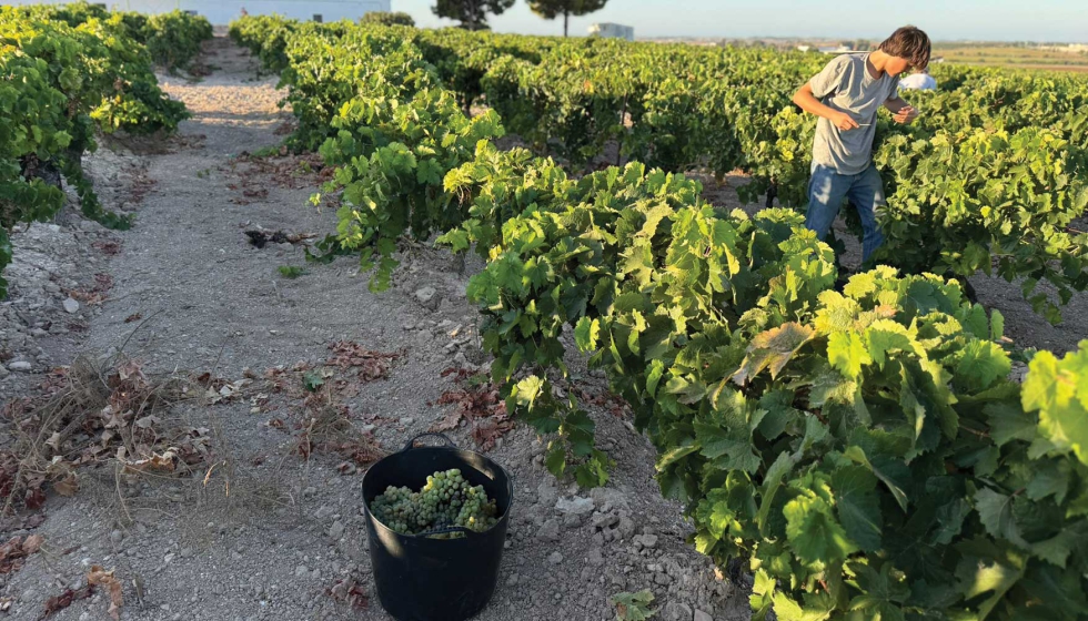 Una campa�a marcada por el calor y los vientos de Levante, con 21...