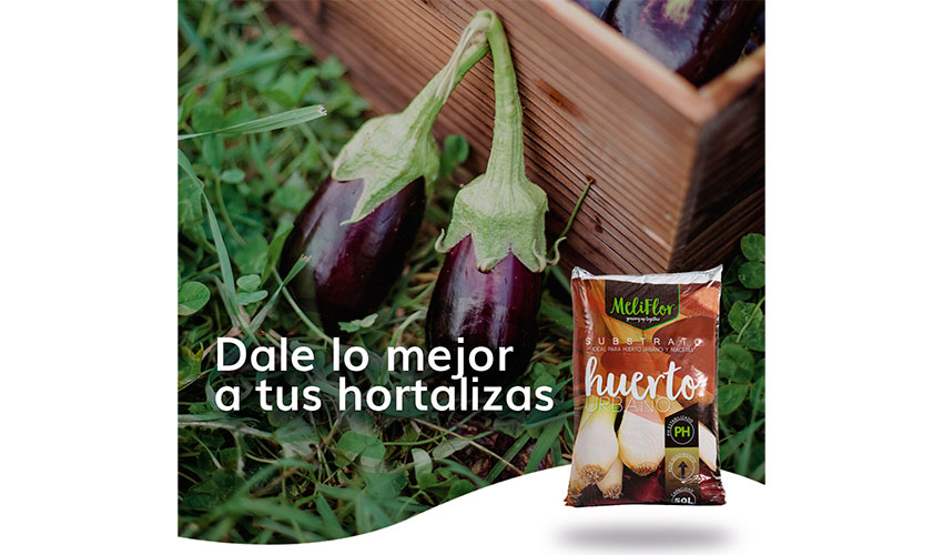 Sustrato huerto urbano