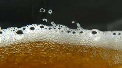 Los residuos de la cerveza contienen lpidos, carbohidratos, protenas y otros compuestos interesantes. Foto: Herv de Brabandre...