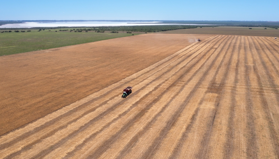 Cosecha de trigo en La Pampa, Argentina