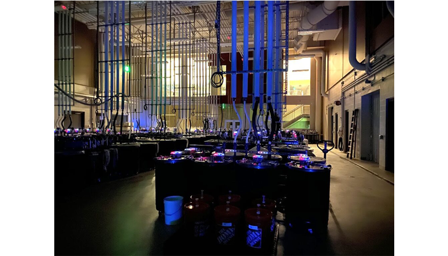 Foto de Demuestran que los ajustes de alcohol antes y despus de la fermentacin ofrecen resultados similares