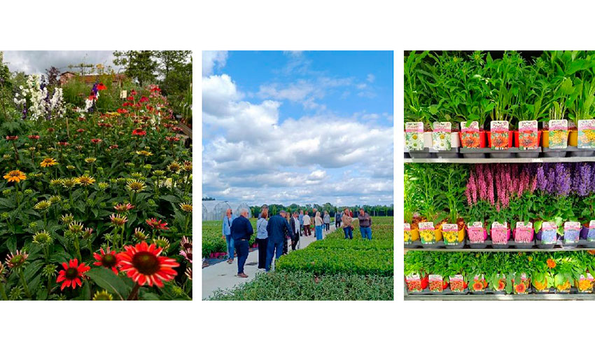 Reuniones para propietarios y empleados en viveros locales organizadas por la Asociacin de Centros de Jardinera de Polonia...