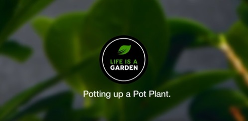 El proyecto 'Life is a Garden' promueve la jardinera, con campaas en redes sociales y acciones en primavera/verano para atraer clientes...