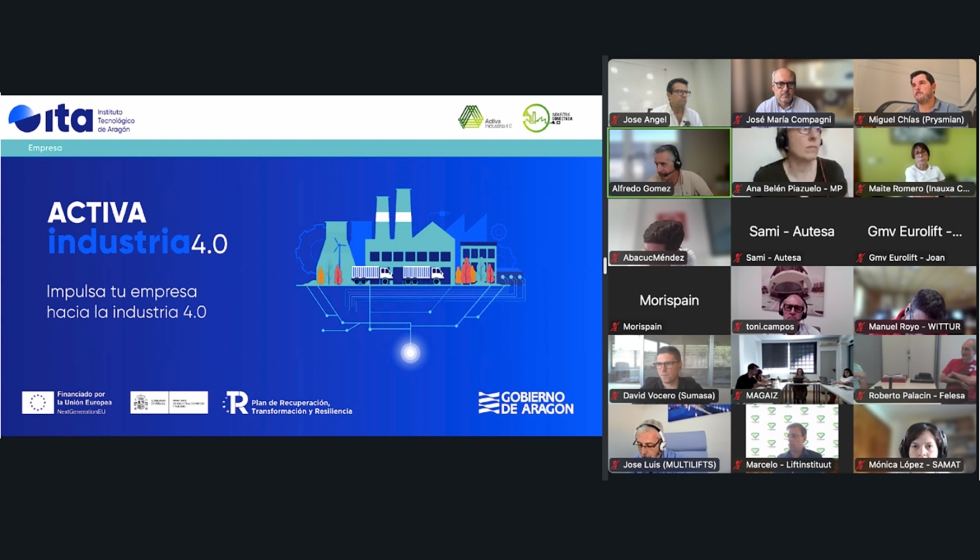 Un momento de la reuni�n de Aecae celebrada en formato virtual