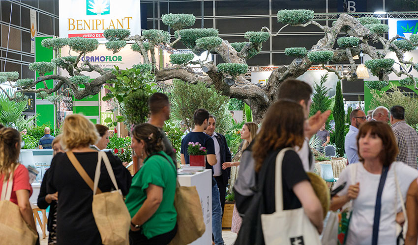 El certamen reunir� en Valencia a viveristas, floristas y paisajistas de todo el mundo