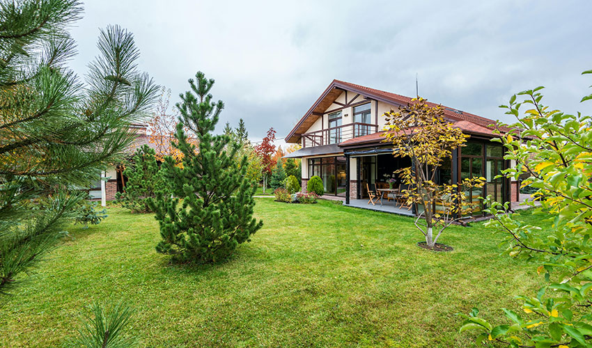 Plantar especies de temporada y enriquecer el suelo con compost garantiza un jard�n sano y colorido durante los meses fr�os...