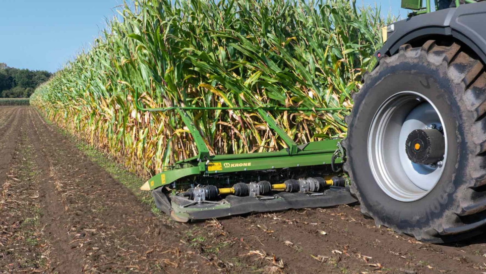 Los tallos de ma�z se introducen longitudinalmente y, a continuaci�n...