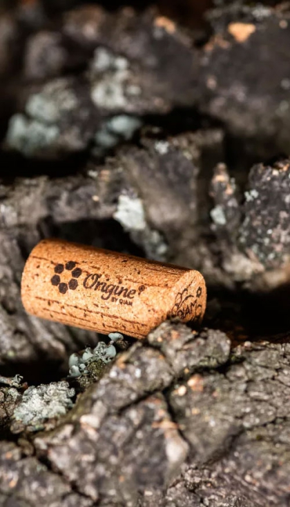 Basados en innovaciones respetuosas con el medio ambiente, los productos de la gama Origine by Diam est�n disponibles actualmente en Diam 3, Diam 5...