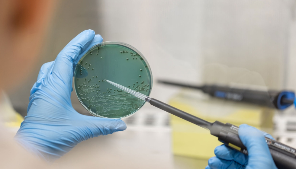 Elaborar zumos sin higienizar el equipo puede propagar bacterias peligrosas