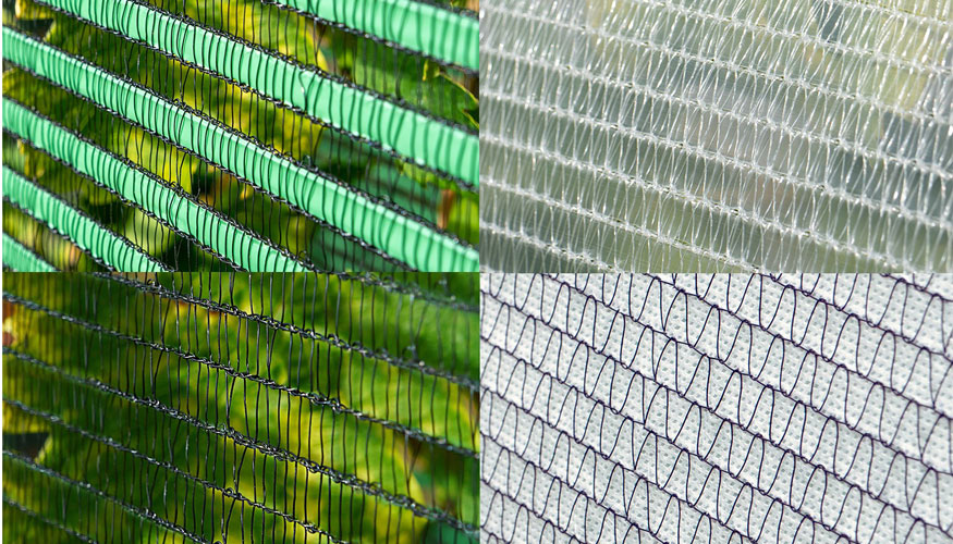 Mayas desarrolladas y testadas:
SOMBREADO + granizo, enfermedad f�ngica.
ENFERMEDAD F�NGICA + granizo, sombreado, heladas...