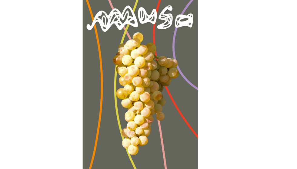 Estudio Bastida ha desarrollado la carca gr�fica de Musa, la nueva variedad de uva blanca descubierta por el EVENA...