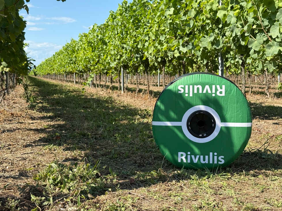 Vi�edos de Daniele Avoledo