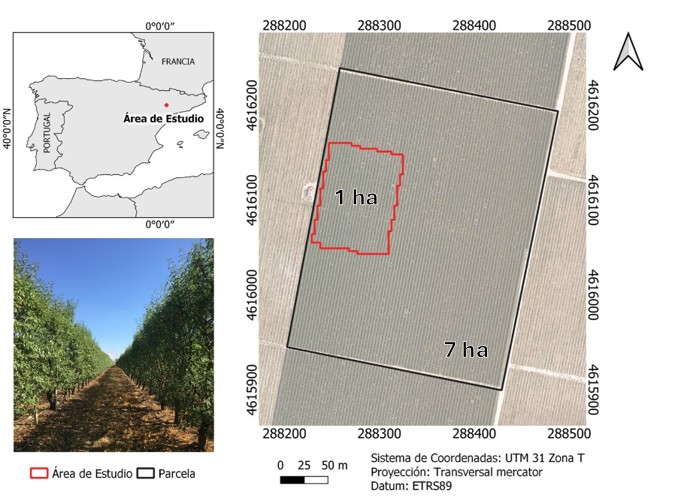 Figura 2. Localizacin del ensayo dentro de la parcela comercial (Raimat, Lleida)