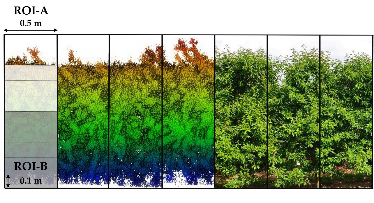 Figura 4. Vista lateral de la nube de puntos LiDAR en el seto...