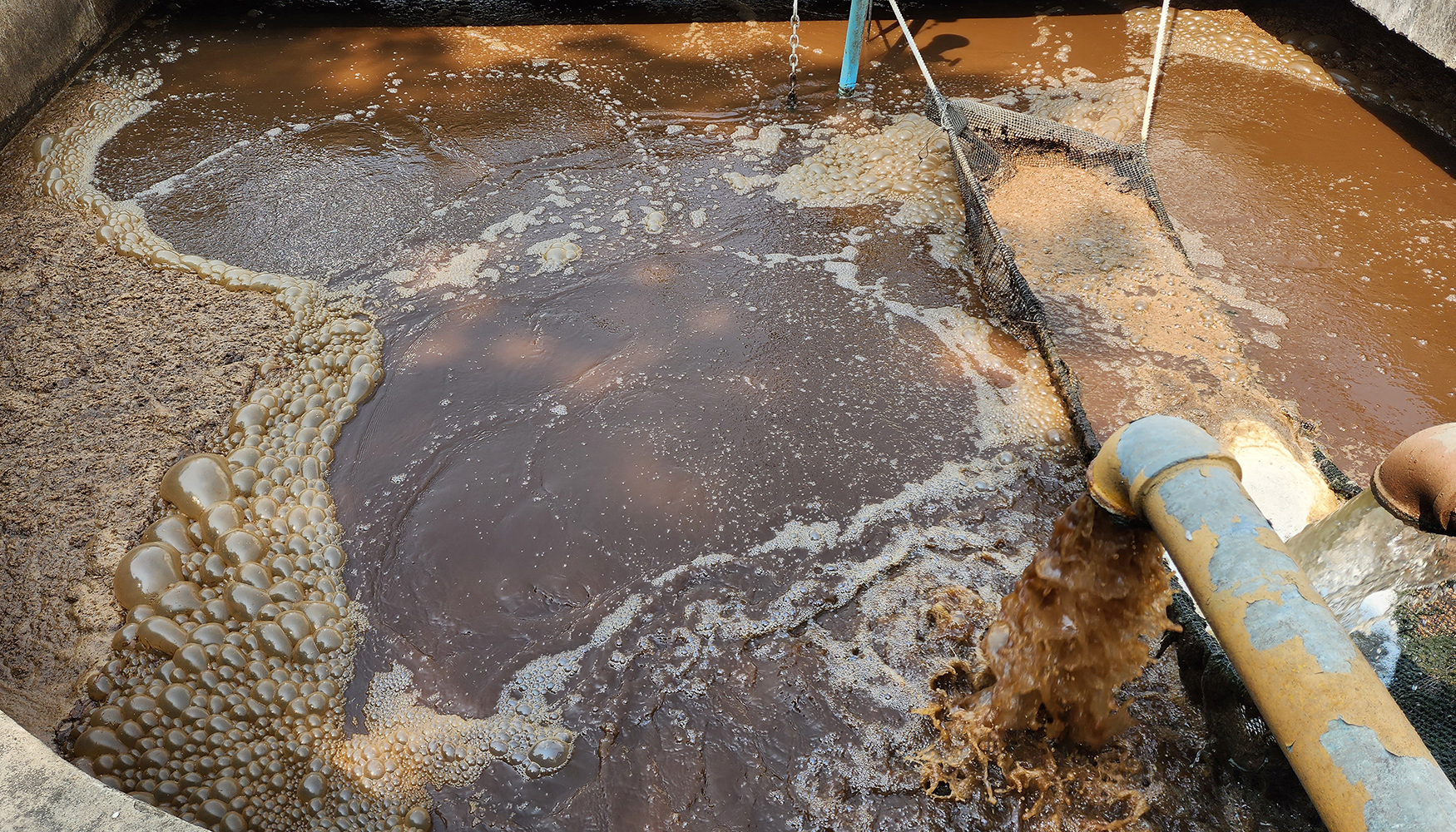 Los lodos y digestatos presentan requisitos especficos de manipulacin debido a su viscosidad y su elevado potencial de incrustacin...